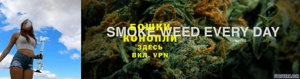 сатива Аркадак
