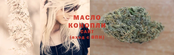 сатива Аркадак