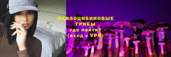 прущая мука Арсеньев