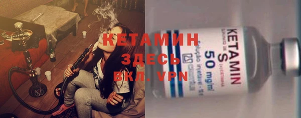 сатива Аркадак