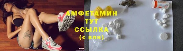 сатива Аркадак