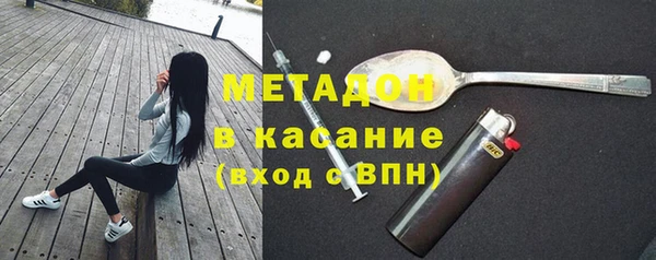 сатива Аркадак