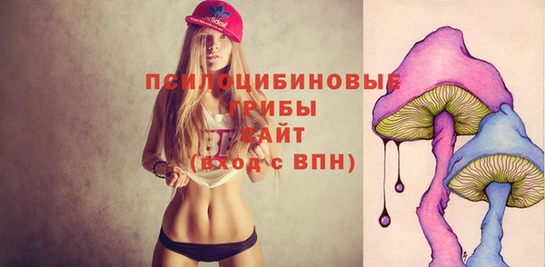 сатива Аркадак